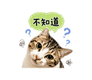 856088411