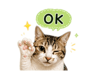 856088423