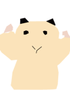 856089135