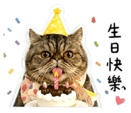 856089474