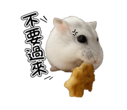 856089499