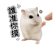 856089501