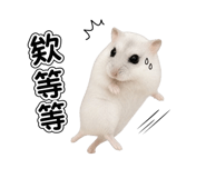 856089504