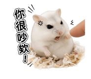 856089505