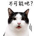 856091103