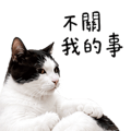 856091104