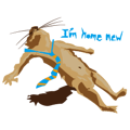 856091582