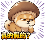 856092684