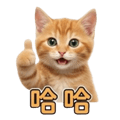 856092978