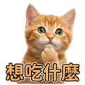 856092980