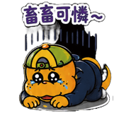 856094022