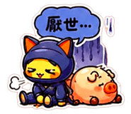 856095937