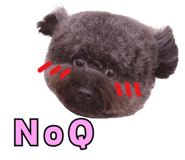 856096176