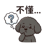856098031