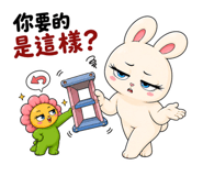 856104562