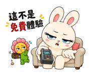 856104567