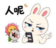 856104585
