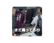 856104595