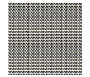 856105037