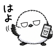 856106289