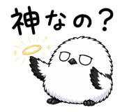 856106291