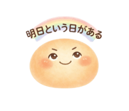 856107095