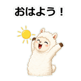 856107337