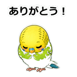 856107437