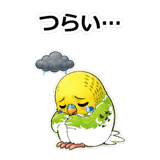 856107450