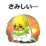 856107452