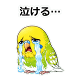 856107453