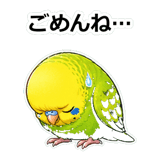 856107454