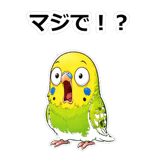 856107456