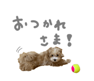 856108878