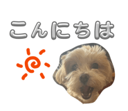 856108897