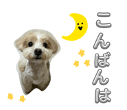 856108898