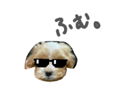 856108900