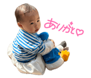 856112466