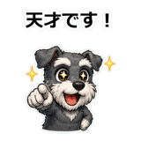 856113362