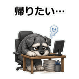 856113392