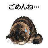856113446