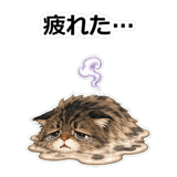 856113451
