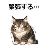 856113454