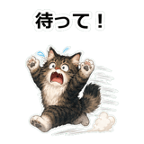 856113462