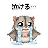 856113581