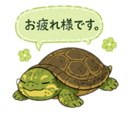 856113770