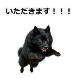 856114040