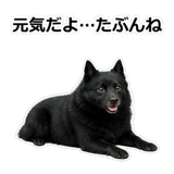 856114043