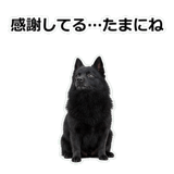 856114061