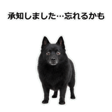 856114071